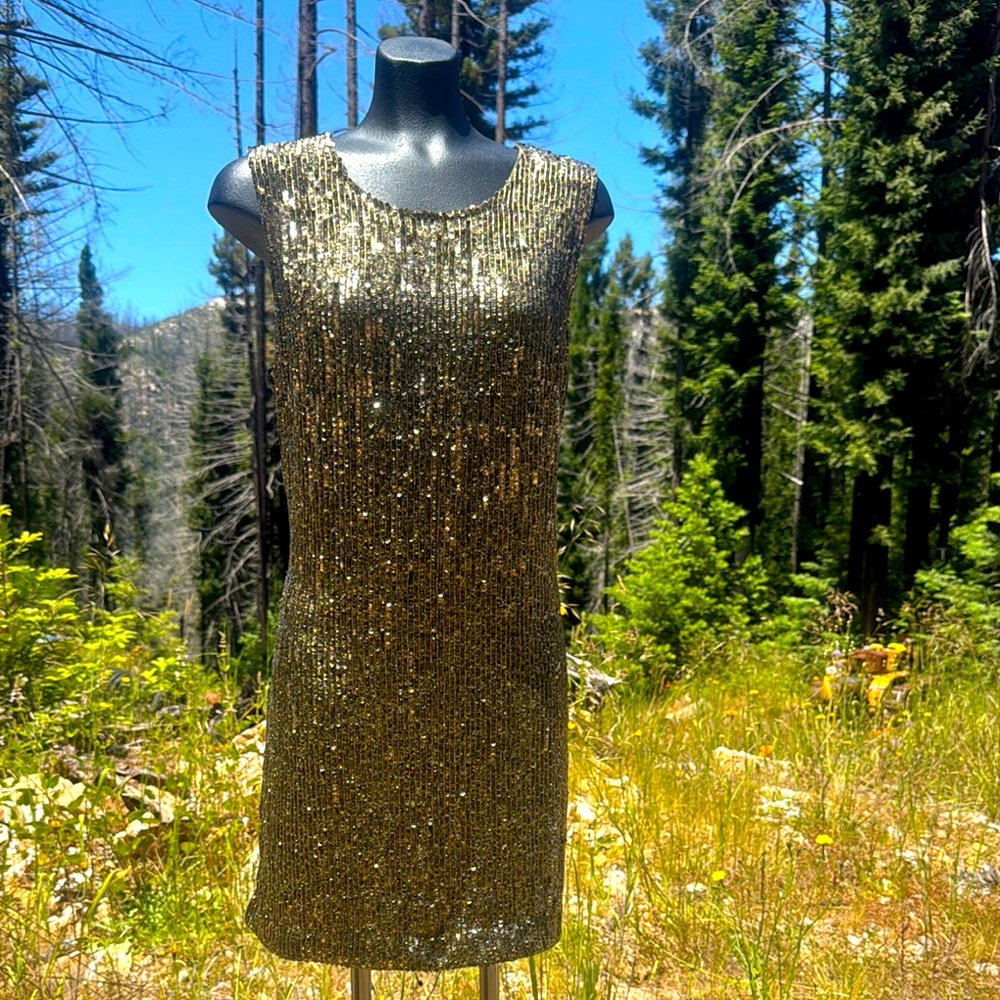 NWOT Polo Ralph Lauren sequined/Beaded Sleeveless Mini Cocktail Dress Stunning!